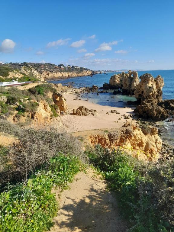 Estudio Puertorico T0 Em Albufeira Gale מראה חיצוני תמונה
